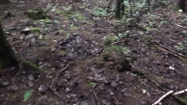 Учебник по Развитию Творческих Способностей