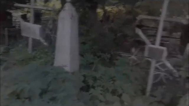 Монстр пес.Ужасы смотреть онлайн