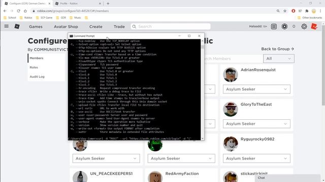 How to sign in to a roblox account via the API смотреть онлайн
