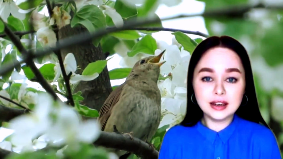 За окном черёмуха колышется. смотреть онлайн