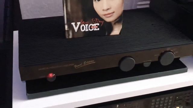 Musical Fidelity A1 final edition Limited edition 200 on the world Yao Si Ting смотреть онлайн