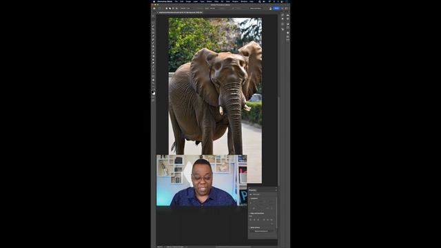 The 7 Best Examples of Adobe AI in Photoshop So Far смотреть онлайн