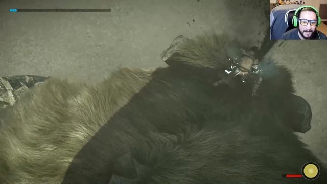 BABYS FIRST COLOSSUS - SHADOW OF THE COLOSSUS REMAKE (PS4 Pro) Part 1 смотреть онлайн