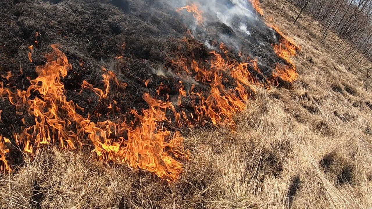 Весенний пожар в деревне смотреть онлайн