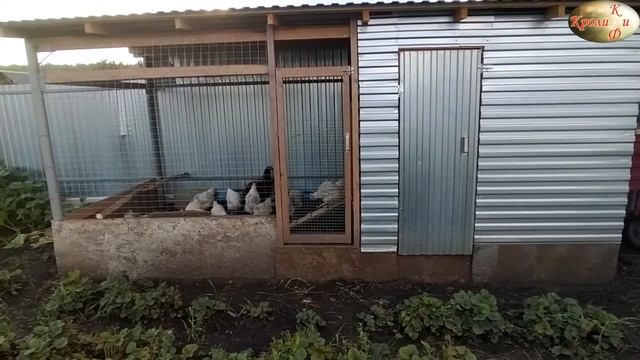 Обзор курятника построенного своими руками. Курятник с двориком для выгула. смотреть онлайн