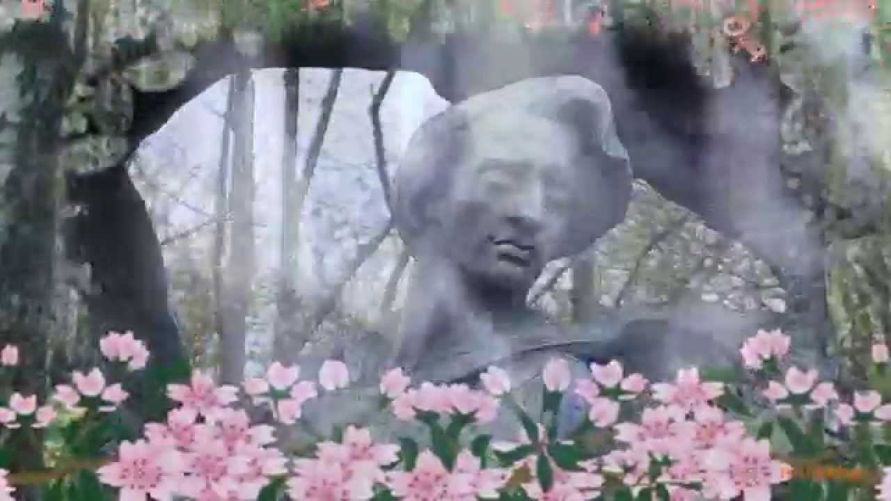 Шопен смотреть онлайн