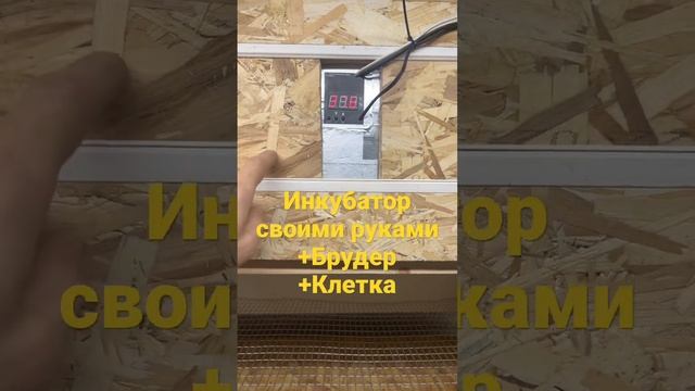 Инкубатор своими руками+брудер+клетка для перепелов смотреть онлайн