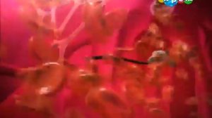 10 Путешествия Адибу  Как устроен человек   Почему мне необход