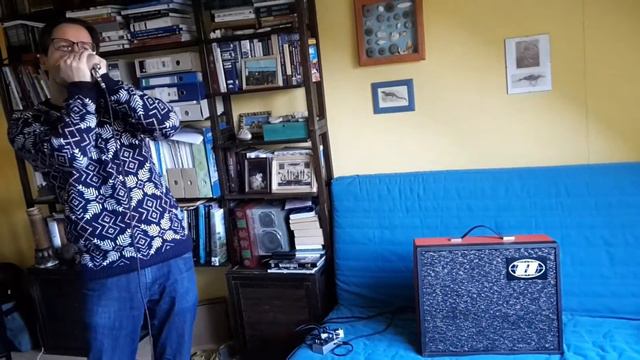 Dynacord Amigo 1970 - harmonica смотреть онлайн