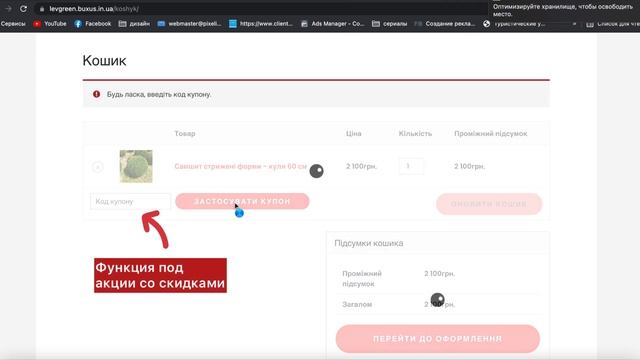 Кейс интернет-магазина для декоративных растений смотреть онлайн