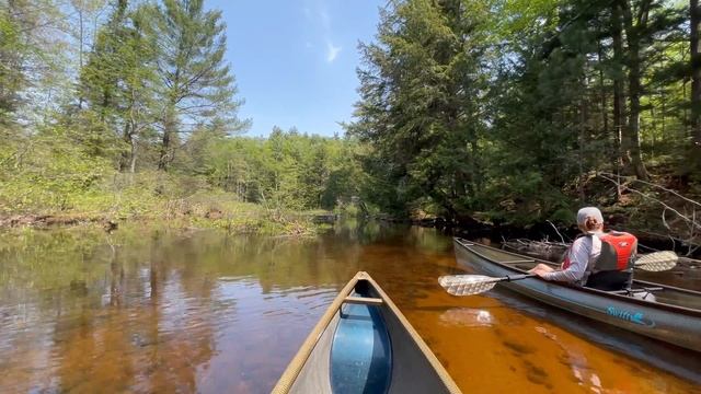 MUST DO Adirondack Canoe Trip: Floodwood to Fish Creek to Rollins Pond смотреть онлайн