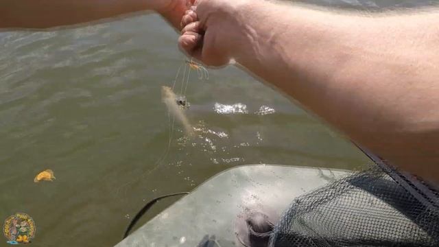 Рыбалка с ночевкой. Ловля карпа на макуху. Ловля на спиннинг. FISHING ON CARP смотреть онлайн
