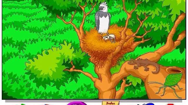 Let's Explore the Jungle with Buzzy the Knowledge Bug Walkthrough смотреть онлайн