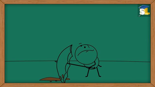 How is the principle of centrifugation helpful in blood banks? | #aumsum #kids #science смотреть онлайн