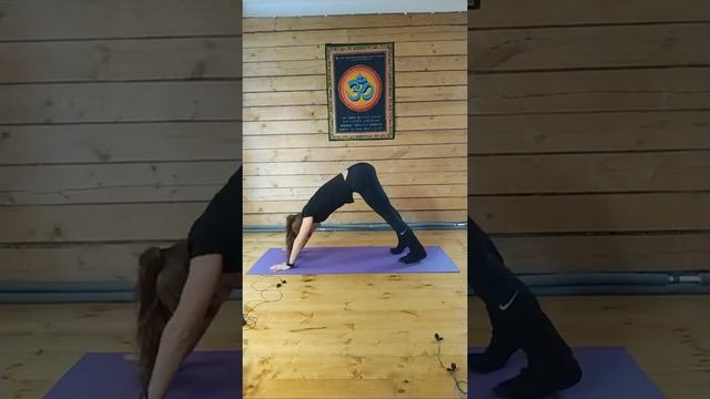 Хатха Йога Мила К смотреть онлайн