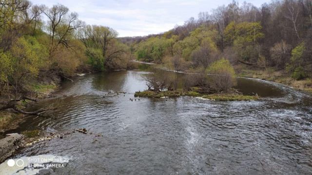 Пение птиц над рекой в лесу. звук реки и небольшого водопада. смотреть онлайн