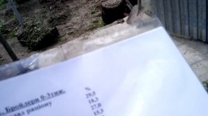 Три самых простых рецепта комбикорма для Бройлеров