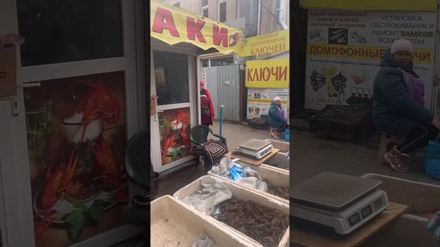 Хотите РАКИ ИЛИ РАЧКИ, едьте на Привоз. У нас есть ВСЁ… смотреть онлайн