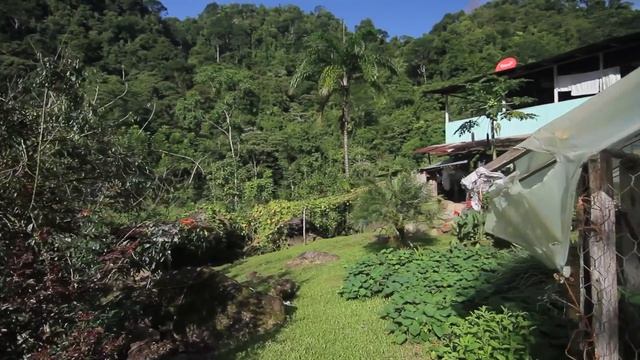 Autentico Adventures in Costa Rica! | MicBergsma смотреть онлайн