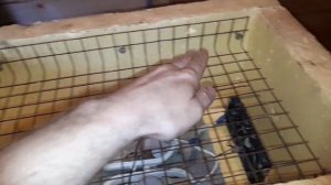 Самодельный инкубатор. Как сделать инкубатор для перепелов. Самодельный инкубатор для перепелов.