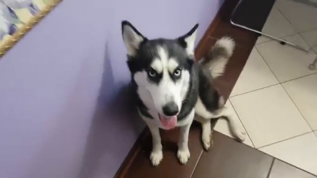 а лежачих не бьют! смотреть онлайн