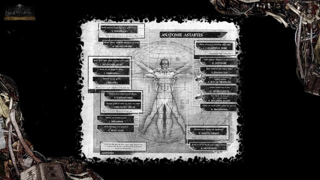 О противостоянии Хищника и берсерка Кхорна - Liber: Intelectum [AofT] (Ответ Kentek-у) смотреть онлайн