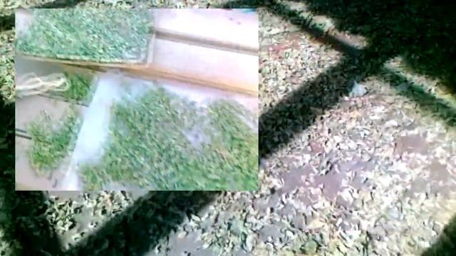 Сушка витаминных добавок для курей на зиму смотреть онлайн