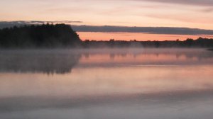 Утро туманное. Романс