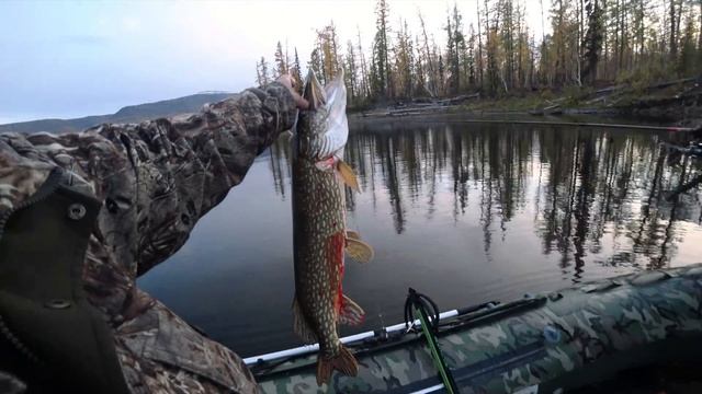 Таймыр. Плато Путорана. Подводная охота и рыбалка. смотреть онлайн