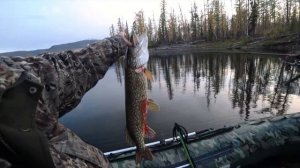 Таймыр. Плато Путорана. Подводная охота и рыбалка.