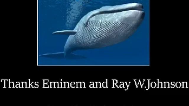 eminem that whale looks like your mom смотреть онлайн