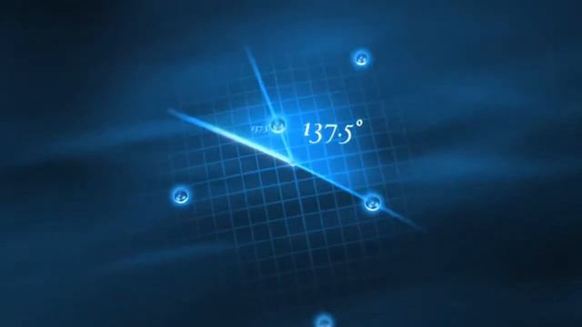 Божетсвенная пропорция