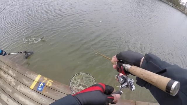 Что стало с GoPro Hero 5 после 2 ЛЕТ использования. Стоит ли покупать в 2019? смотреть онлайн