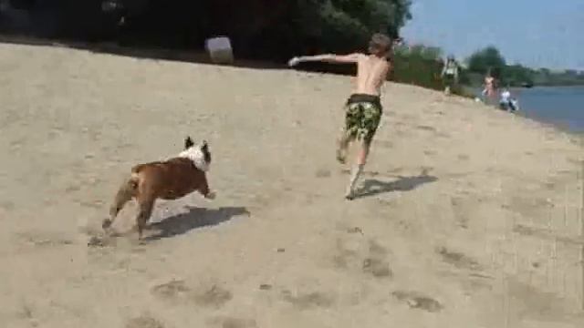 Фифа-на-Дону.wmv смотреть онлайн