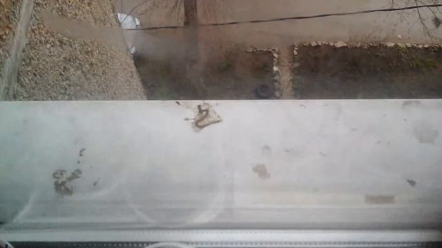 Смотрите, гавно эу птичье смотреть онлайн