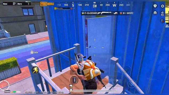 HIGHLIGHTS ЛИВИК и ЭРАНГЕЛЬ 🔥ИГРА В 3 ПАЛЬЦА 🤚60fps🐺 смотреть онлайн