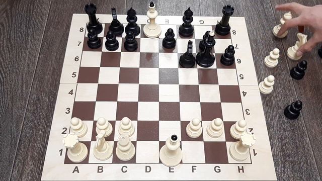 Удиви соперника хитрой ловушкой | Шахматы гамбит в Скандинавской защите смотреть онлайн