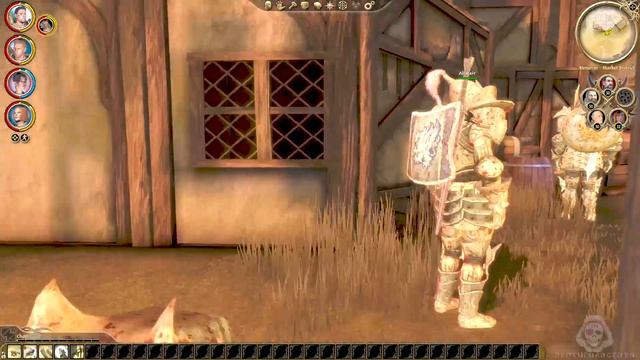 DRAGON AGE: ORIGINS | CHAPTER 17: LANDSMEET & FINAL BATTLE смотреть онлайн