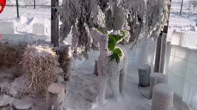 Что мы подготовил на новогодние каникулы в Листвянке?! смотреть онлайн