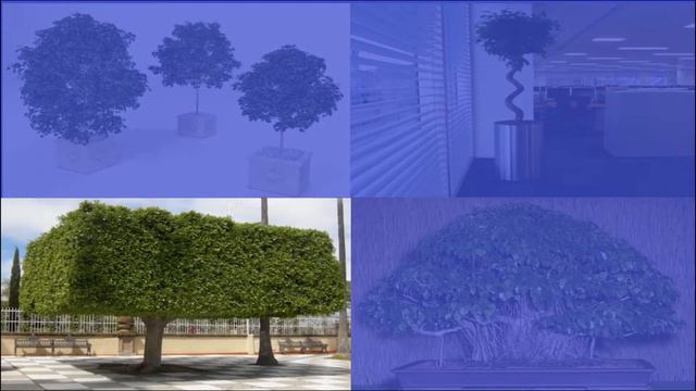 Ficus смотреть онлайн