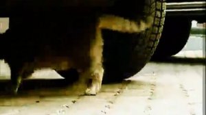 МультFильмы За нами следят