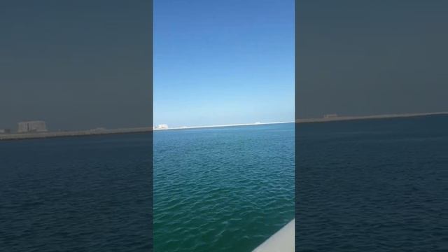 Waterfront Market In Deira || Waterfront Market || Fish Market In Dubai || Lulu Hypermarket ||Uae|| смотреть онлайн