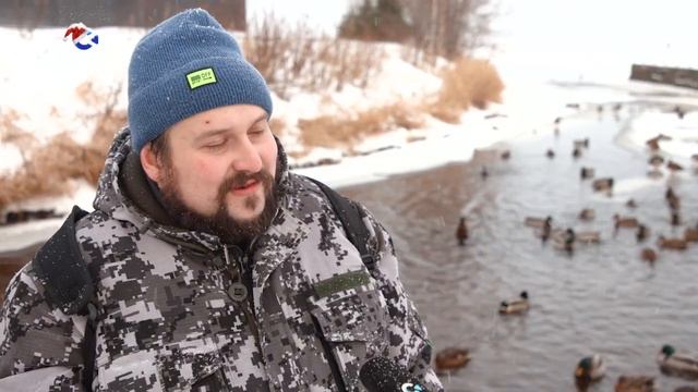 Жителям Карелии предлагают подсчитать крякв смотреть онлайн