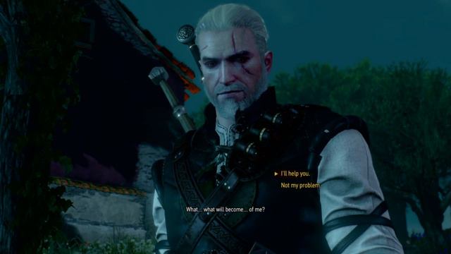 The Witcher 3 - Fighting alongside with Dettlaff & Regis смотреть онлайн