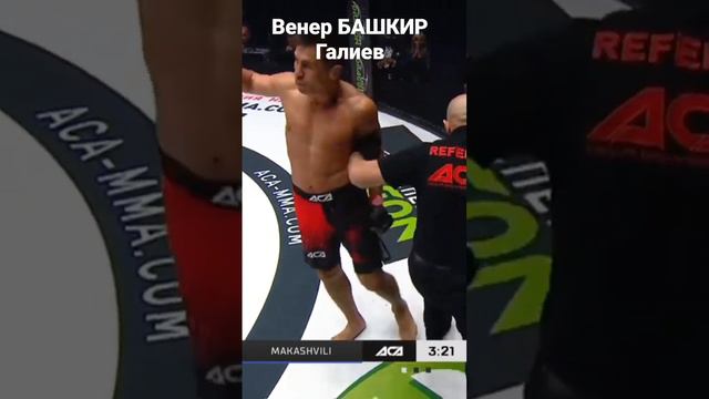 Венер Башкир Галиев vs Леван Макашвили ACA156 смотреть онлайн