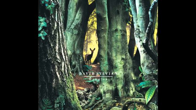 David Sylvian -Snow White In Appalachia ( Remixed By Modesto Muñiz)