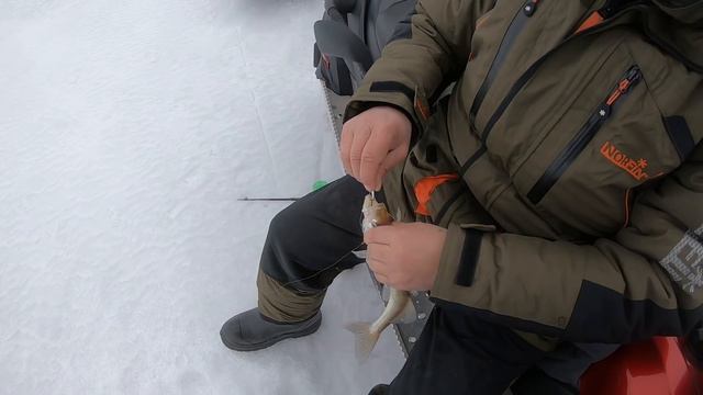 Рыбалка на судака. Застревают УАЗЫ!!! смотреть онлайн