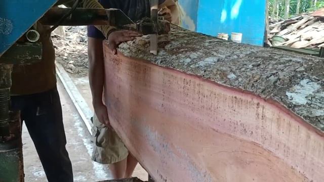 Extraordinary!!! Mahogany red wood at high prices, the process of sawing wood at the sawmill смотреть онлайн