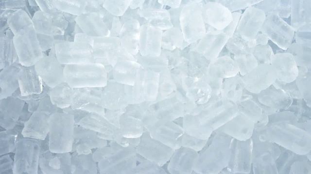 Watermelon Copper Mug Mule смотреть онлайн