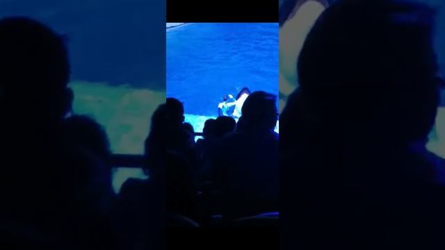 москва риум